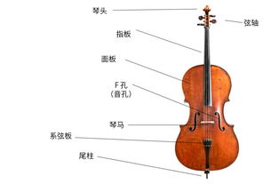 這些樂器，就算化成灰我也認識